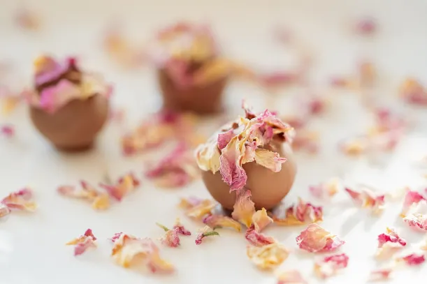 LottoKings Casino Aplicación Android/iOS